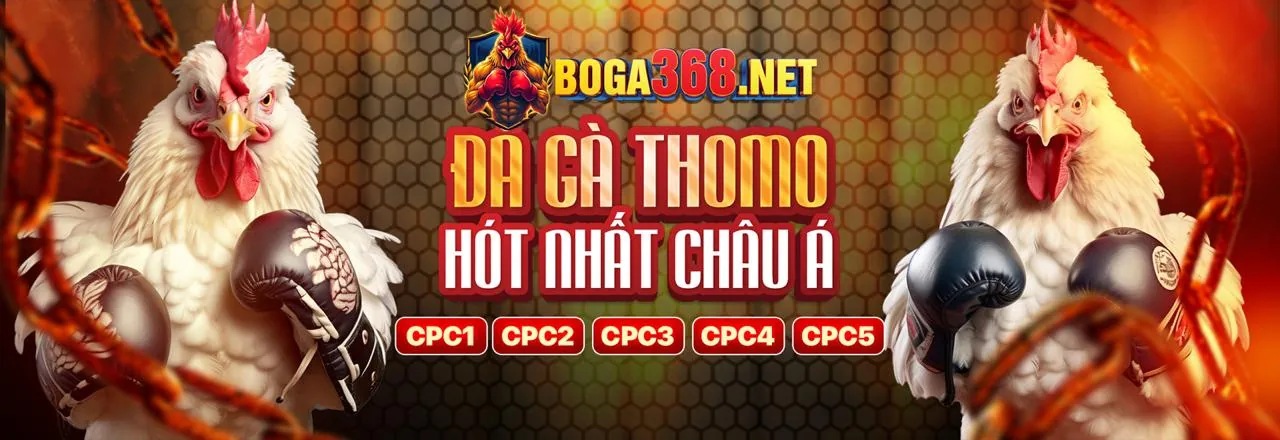 Sân vận động đầy ắp khán giả, biểu tượng cá cược thể thao vicwin nhà cái